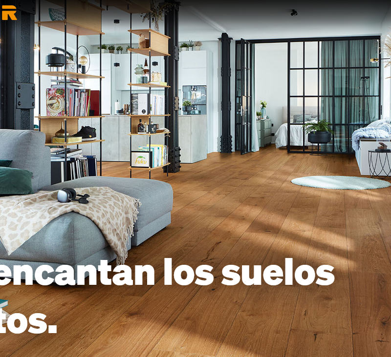 Imagen de Novedad Meister